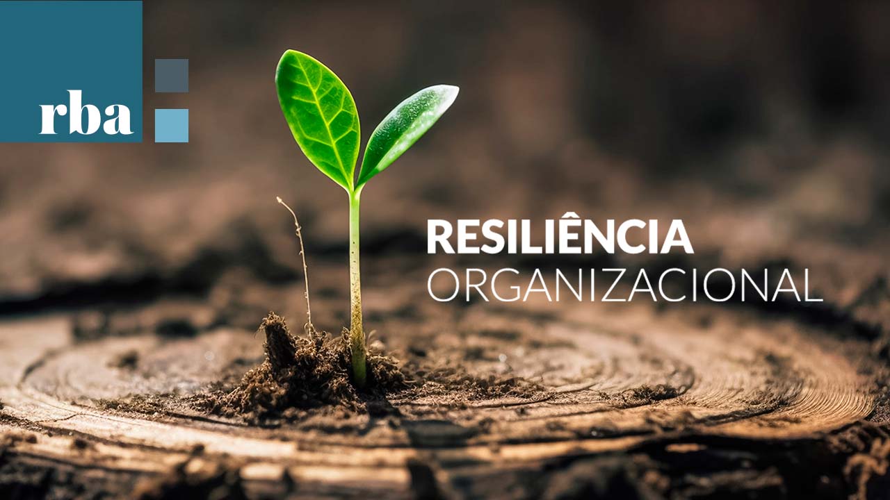 Você está visualizando atualmente Resiliência Organizacional, já ouviu falar? Entenda o que é, e o que representa