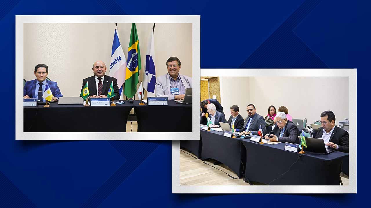 Você está visualizando atualmente Reunião da Diretoria Executiva do CFA, em Vitória-ES,  debate assuntos da profissão