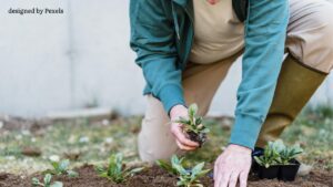 Leia mais sobre o artigo Educação ambiental e ações contra as mudanças climáticas